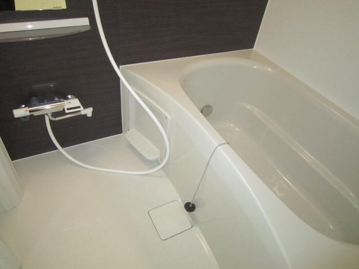 ロベリアチャコの物件内観写真