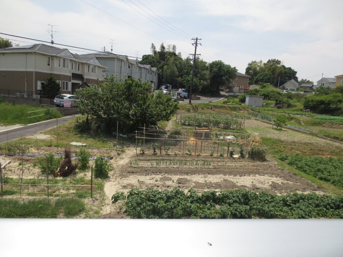 ロハスの物件内観写真