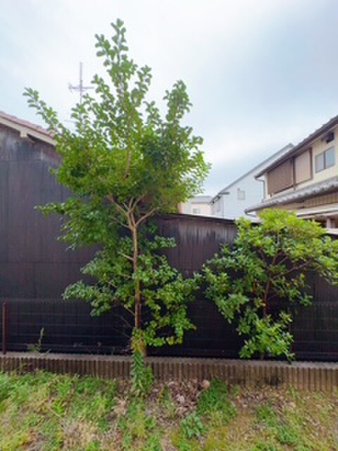 アンプル－ルブワ虹の物件内観写真