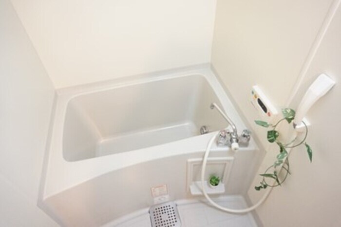 パイン・ウォールの物件内観写真