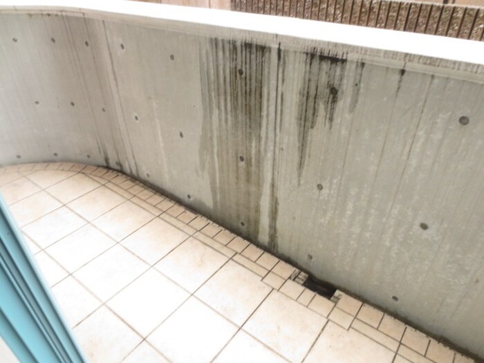 さくらＨｉｌｌｓ　ＹＡＧＯＴＯの物件内観写真