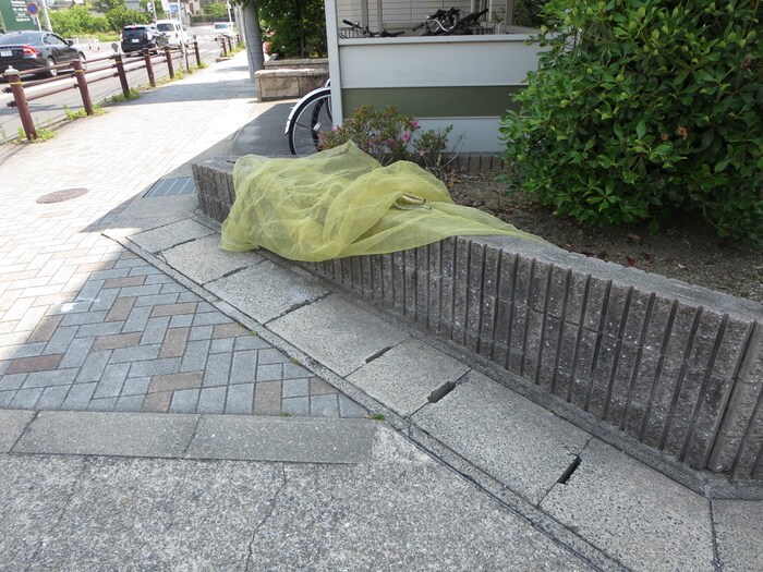 サンフラワーハイツA棟の物件外観写真