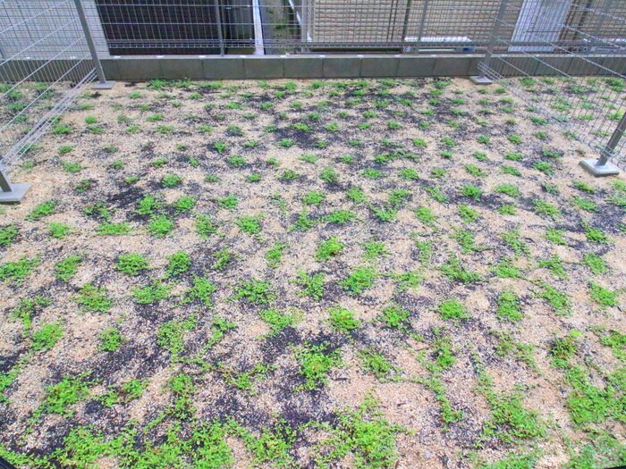 クレストタップ名古屋ウエストの物件内観写真