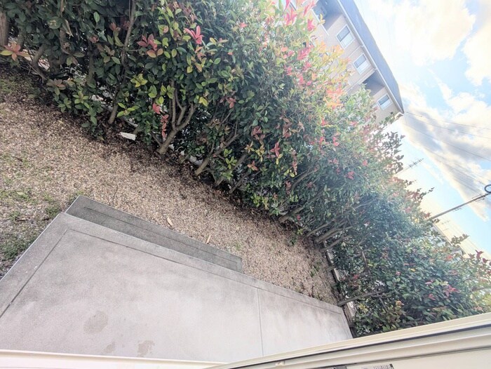 メゾンあざぶＡ棟の物件内観写真