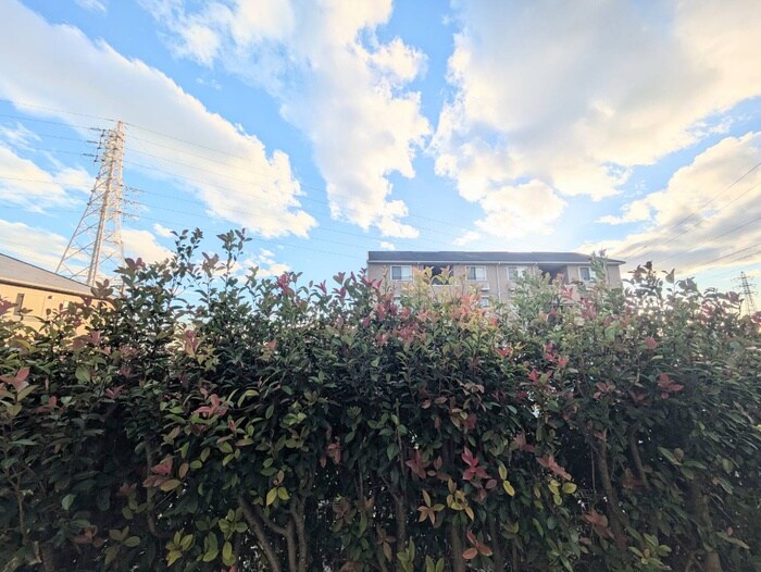 メゾンあざぶＡ棟の物件内観写真