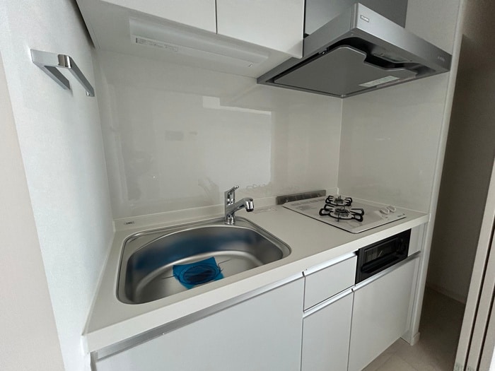 the platinumの物件内観写真