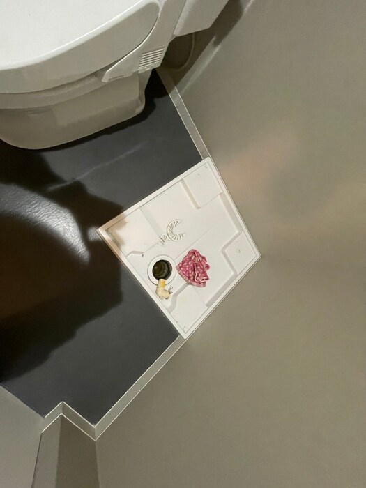 グレイスコート柳島の物件内観写真