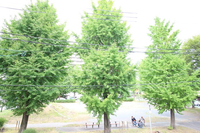 パークサイド北斗の物件内観写真