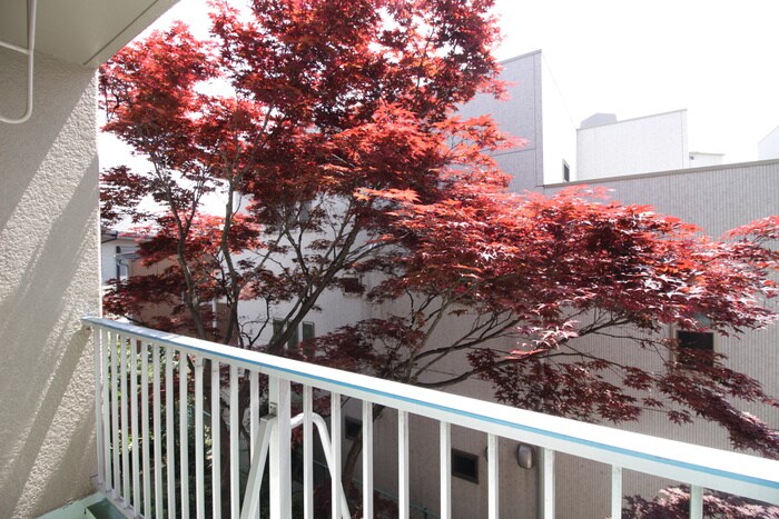 コ－ポヒョ－カの物件内観写真