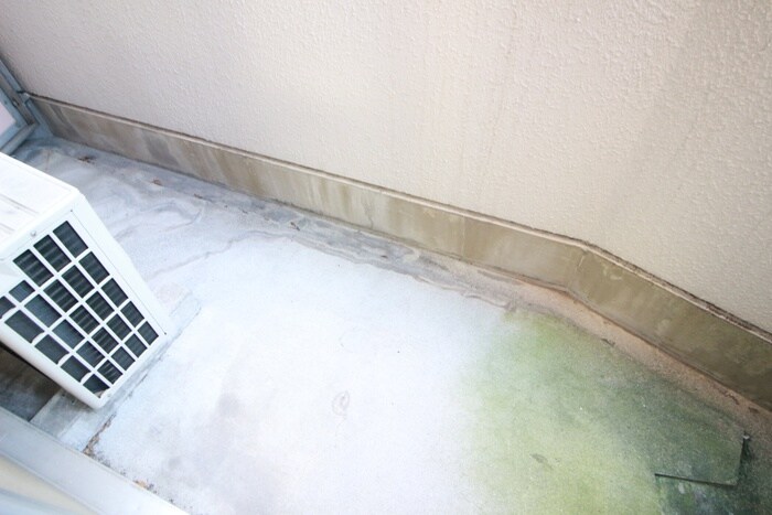 リアライズ伝馬の物件内観写真