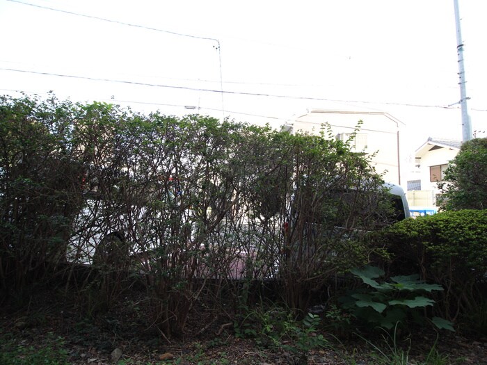 CASA  NOAH　八事の物件内観写真