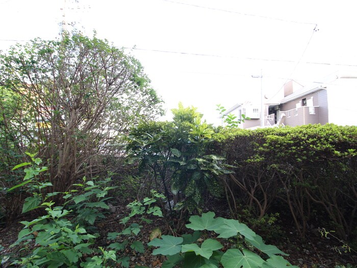 CASA  NOAH　八事の物件内観写真