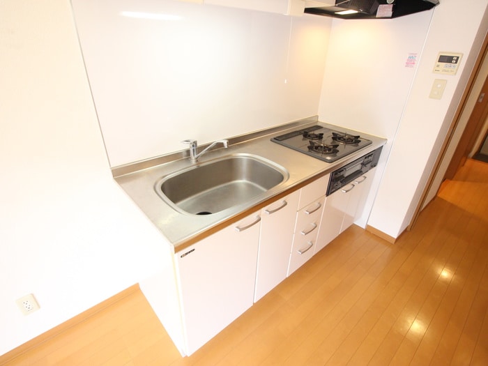 レ－ジュ桜山の物件内観写真