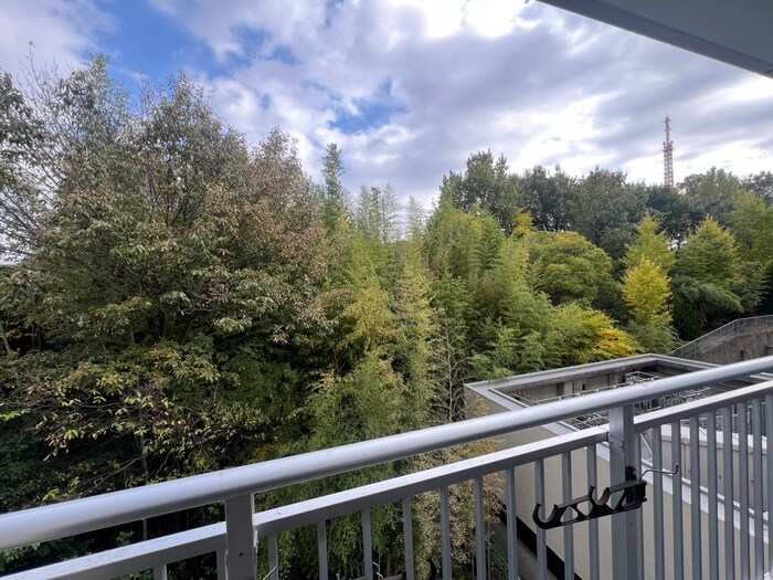 ＷＥＬＬコ－ト山手の物件内観写真