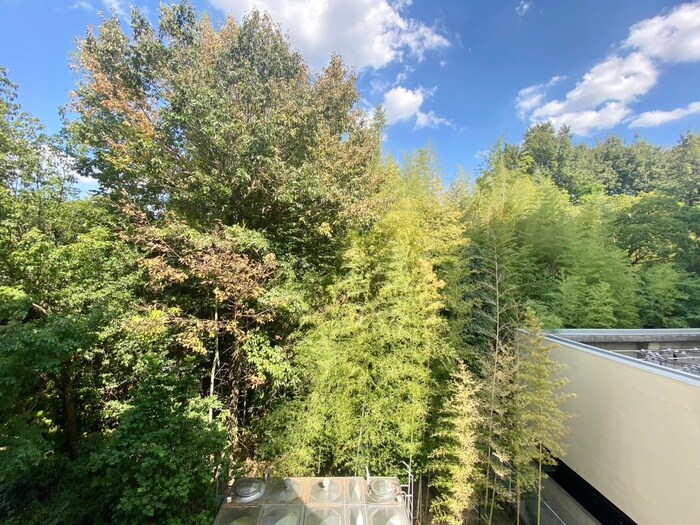 ＷＥＬＬコ－ト山手の物件内観写真