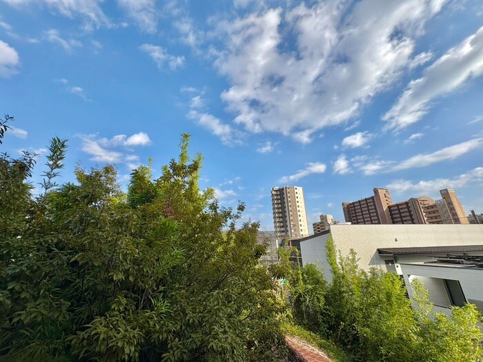 メゾン和幸の物件内観写真