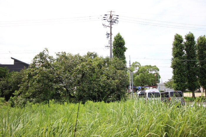 レッドリーブスⅥの物件内観写真