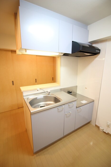 The Venus Of White Ⅱの物件内観写真