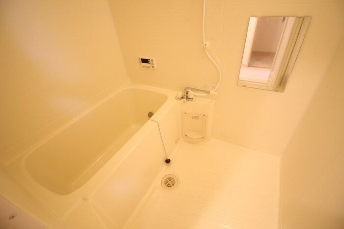 The Venus Of White Ⅱの物件内観写真