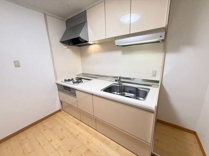 ダイアパレス喜多山（203）の物件内観写真