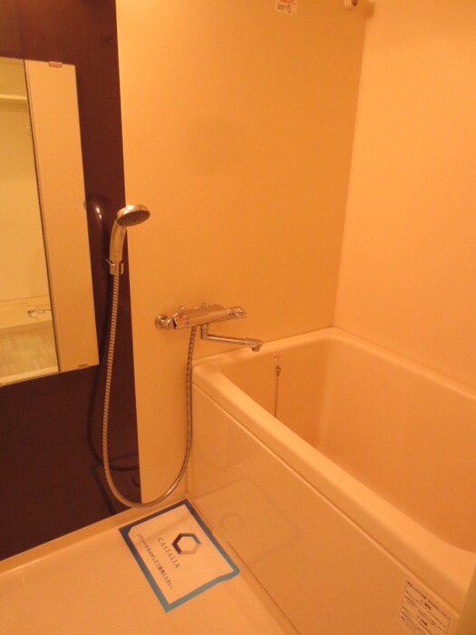 カスタリア志賀本通の物件内観写真