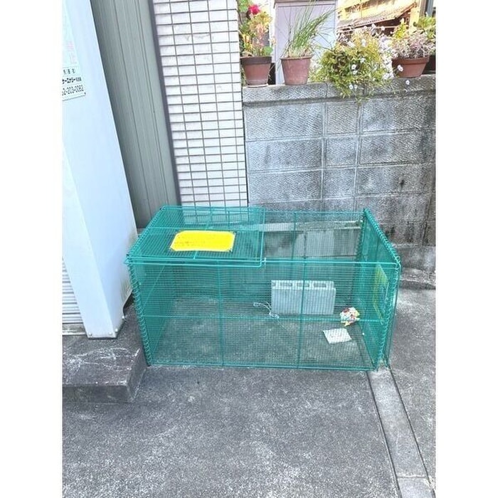 ロレイアムの物件外観写真