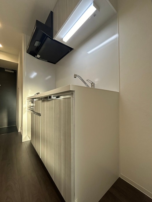 プレサンス太閤通駅前デュプルの物件内観写真