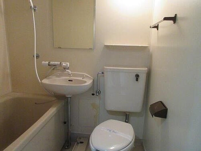 ﾗｲｵﾝｽﾞﾏﾝｼｮﾝ丸の内第5(1303)の物件内観写真