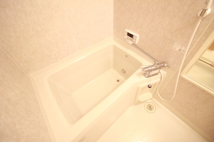 ハートホーム八ッ橋Ａの物件内観写真