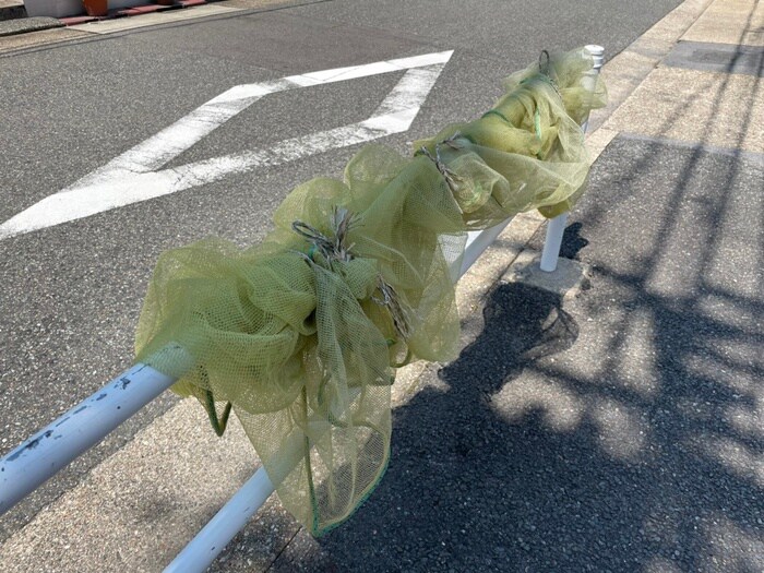 プロクシィスクエア徳川の物件外観写真