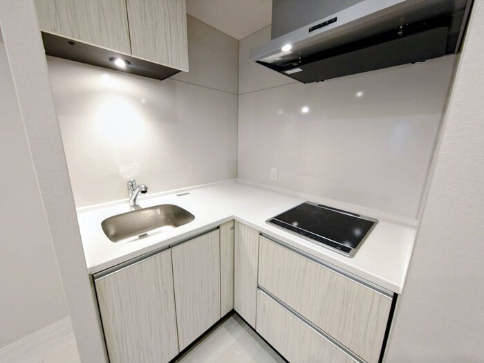 ザ・レジデンスパーク栄の物件内観写真