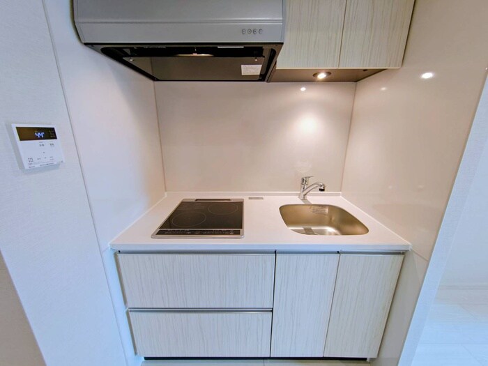 ザ・レジデンスパーク栄の物件内観写真