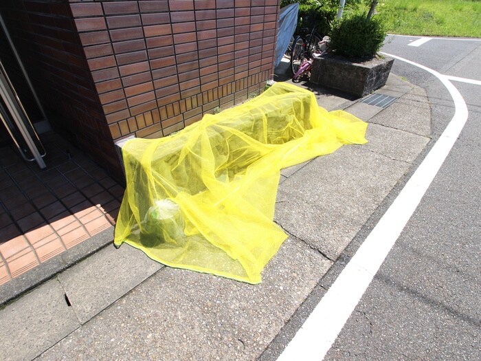 レ－ジュ至来の物件外観写真