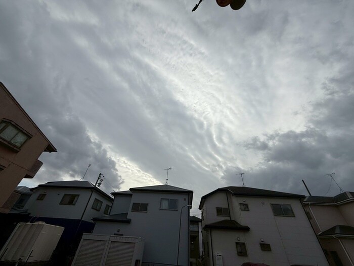 サンキャッスルⅡの物件内観写真