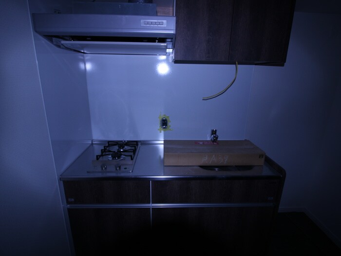 さくらHills NISHIKI Pla Reの物件内観写真