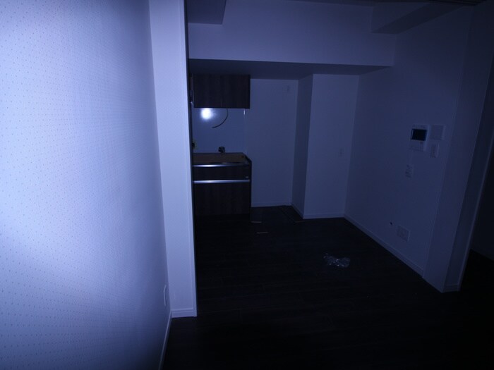 さくらHills NISHIKI Pla Reの物件内観写真