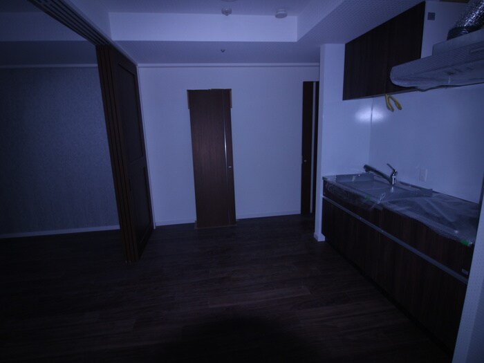 さくらHills NISHIKI Pla Reの物件内観写真