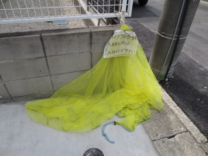 ハイツフロ－ラの物件外観写真