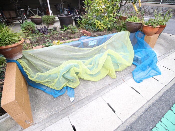 サニ－ハイツＫＩＴＯの物件外観写真