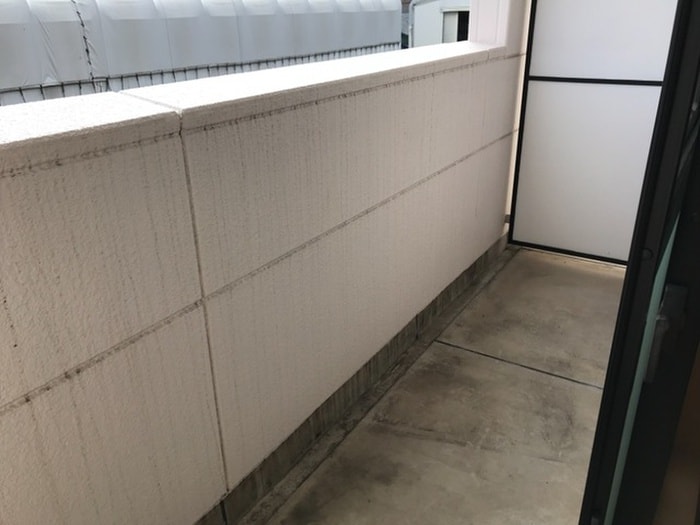 コンフォース藤の物件内観写真