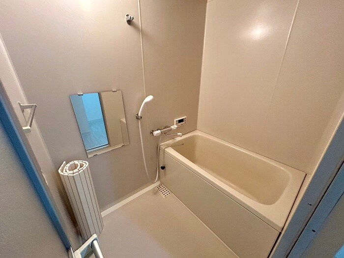 シティ・ライフ城下の物件内観写真