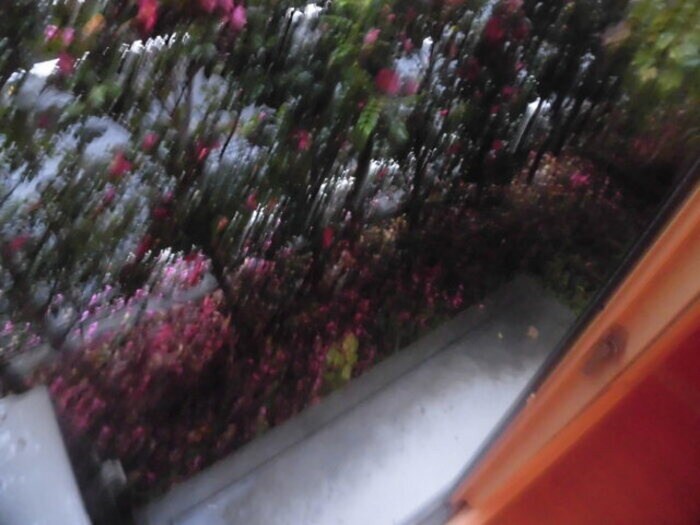 セジュール　パルフェⅡの物件内観写真