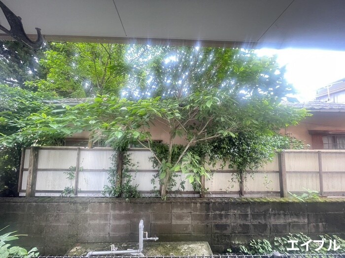 ミルーム津福の物件内観写真