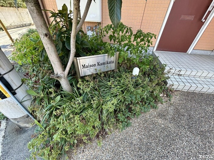 メゾン上方Ｂ棟の物件外観写真