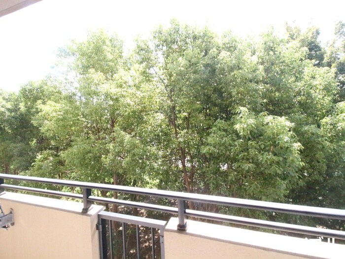 Ｅ．ＰＯＰＵＬＡＲ Ⅱの物件内観写真