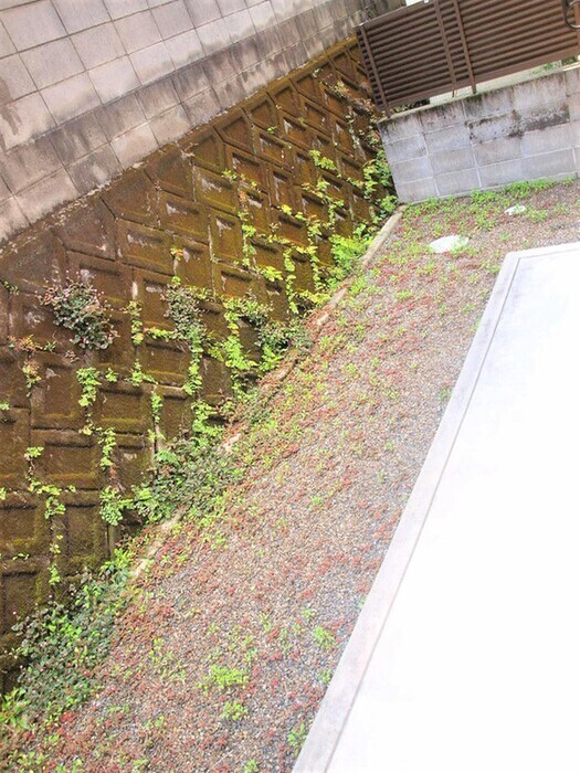 玉里光ハイツの物件内観写真