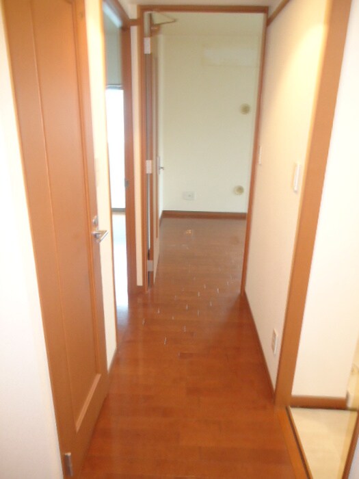 アンピール天神東（807）の物件内観写真