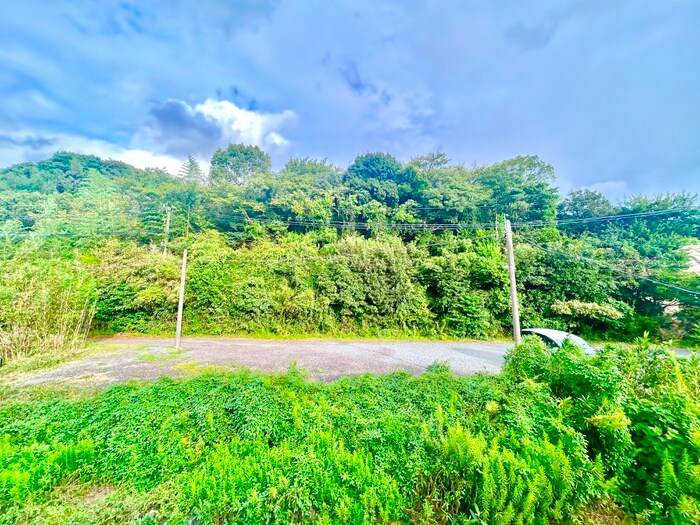 ＯＬＩＶＥⅡの物件内観写真