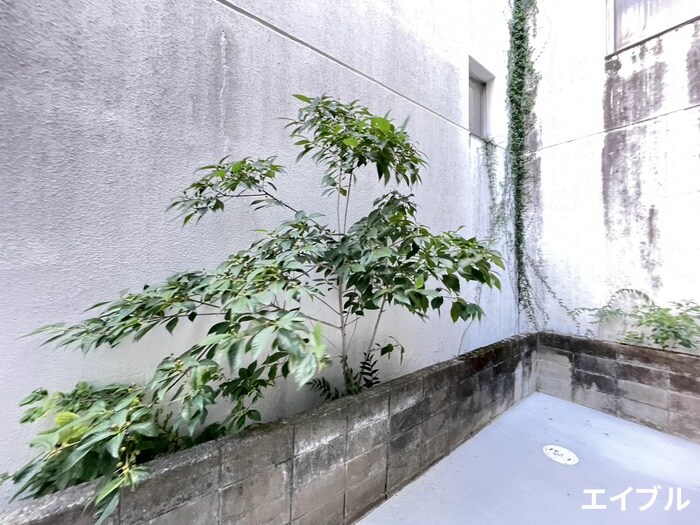 pionierⅠの物件内観写真