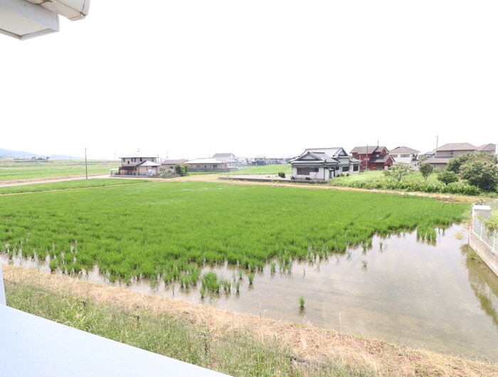 シ－サイドヒルズＨ･Ｋ Ⅲの物件内観写真